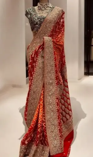 Saree Heavy